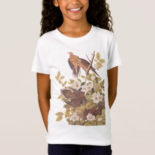 O t-shirt da menina da pomba da tartaruga de