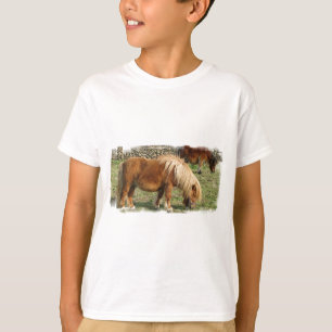 O t-shirt desgrenhado do miúdo do pônei de