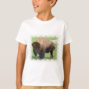 O t-shirt do miúdo norte-americano do bisonte