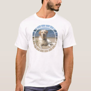 O t-shirt dos homens amarelos de labrador