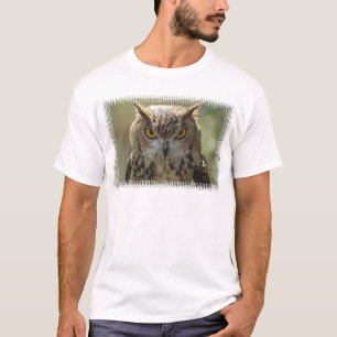 O t-shirt dos homens da foto da coruja