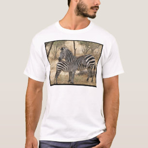 O t-shirt dos homens da zebra da mãe e do bebê