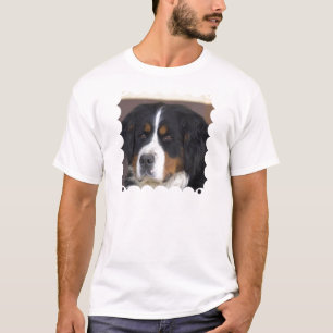 O t-shirt dos homens de Berner Sennenhund