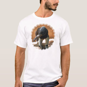 O t-shirt dos homens do Anteater