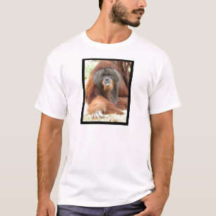 O t-shirt dos homens do macaco do orangotango do
