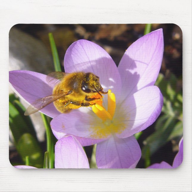 O TASTER CROCUS Nº 2 ~ Mousepad (Frente)