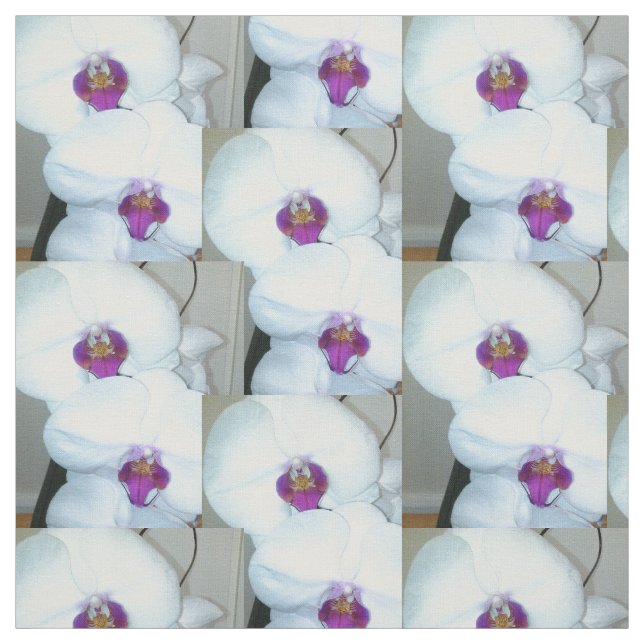 O TECIDO ORCHID BRANCO (Modelo)