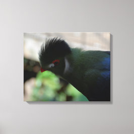 O TURACO DA GUINÉ EM IMPRESSÃO DE TELA