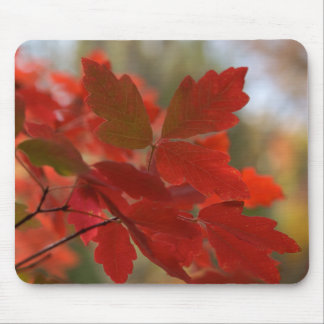 O vermelho deixa Mousepad