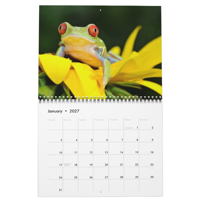 o vermelho eyed o sapo de árvore, calendário dos (Jan 2027)