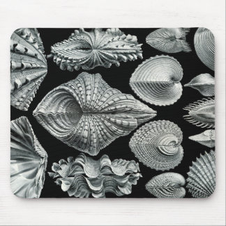 O vintage de Ernst Haeckel descasca Mousepad