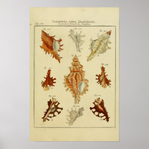O vintage descasca o poster