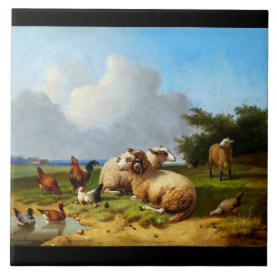 O vintage do pasto dos carneiros Ducks o azulejo