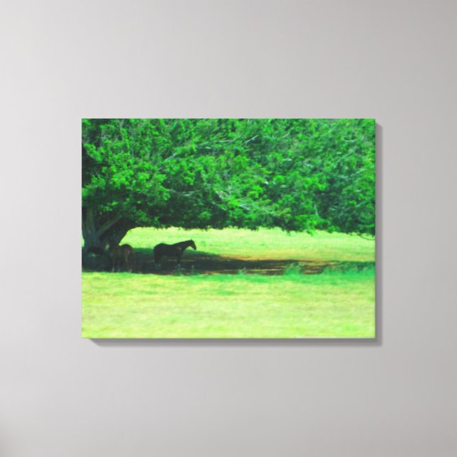 OAHU HAWAII #18 CANVAS (Frente)