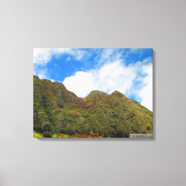 OAHU HAWAII #20 CANVAS (Frente)