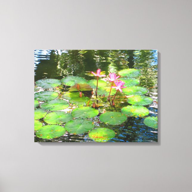 OAHU HAWAII #8 CANVAS (Frente)