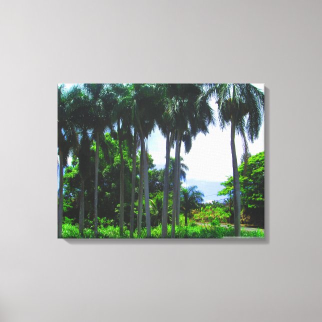 OAHU HAWAII #9 CANVAS (Frente)