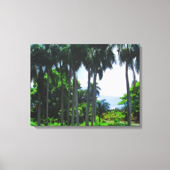 OAHU HAWAII #9 CANVAS (Frente)