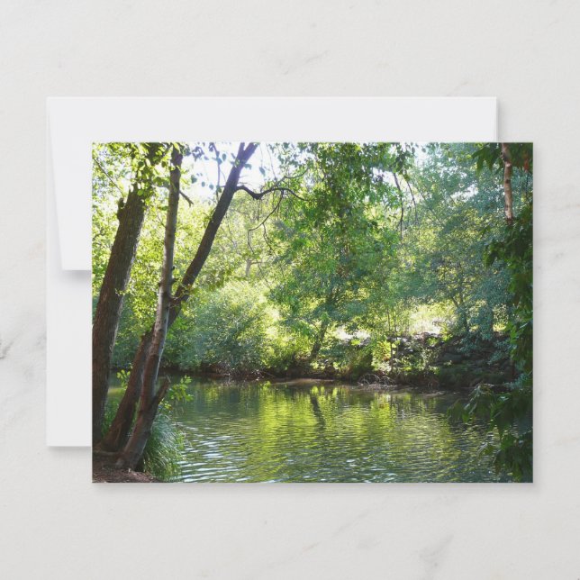 Oak Creek I em Fotografia da Sedona Arizona Nature (Frente)