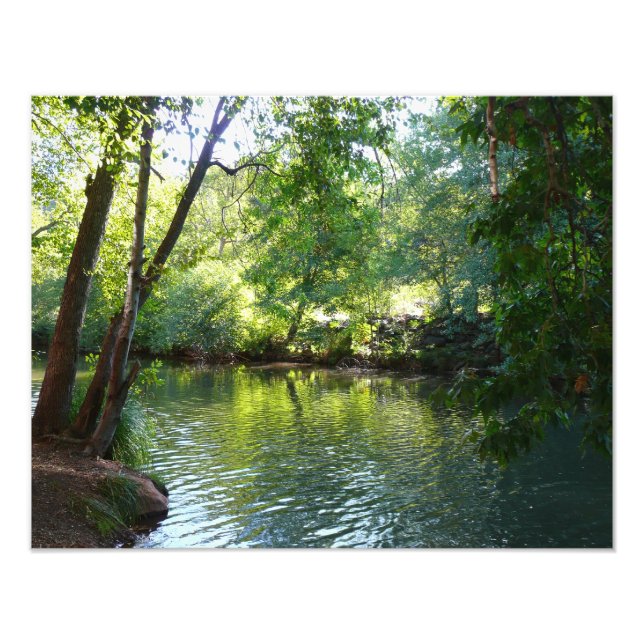 Oak Creek I em Fotografia da Sedona Arizona Nature (Frente)