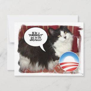 Obama Pet/Humor Político