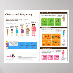 Obesidade e gravidez 20" x 16" poster de