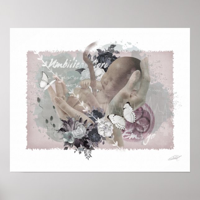 Obgyn Poster (Frente)