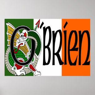 O'Brien Dragon Irish Flag Impressão