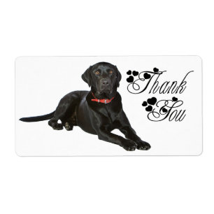 Obrigado Adesivo de Cachorro Labrador Retriever Pr