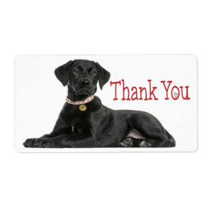 Obrigado Adesivo de Cachorro Labrador Retriever Pr