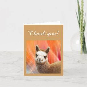 Obrigado Anote Cartões Alpaca Rossi