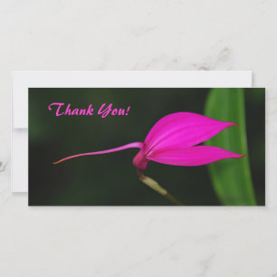 Obrigado Cartão com fotos