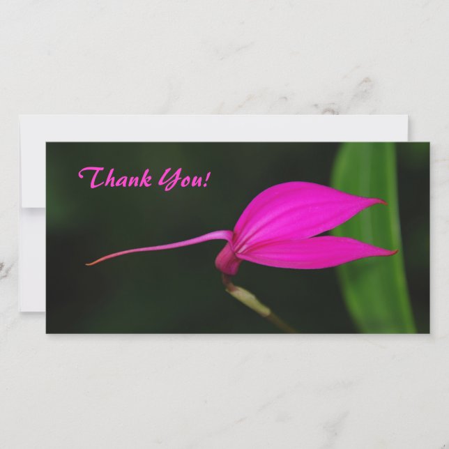 Obrigado Cartão com fotos (Frente)