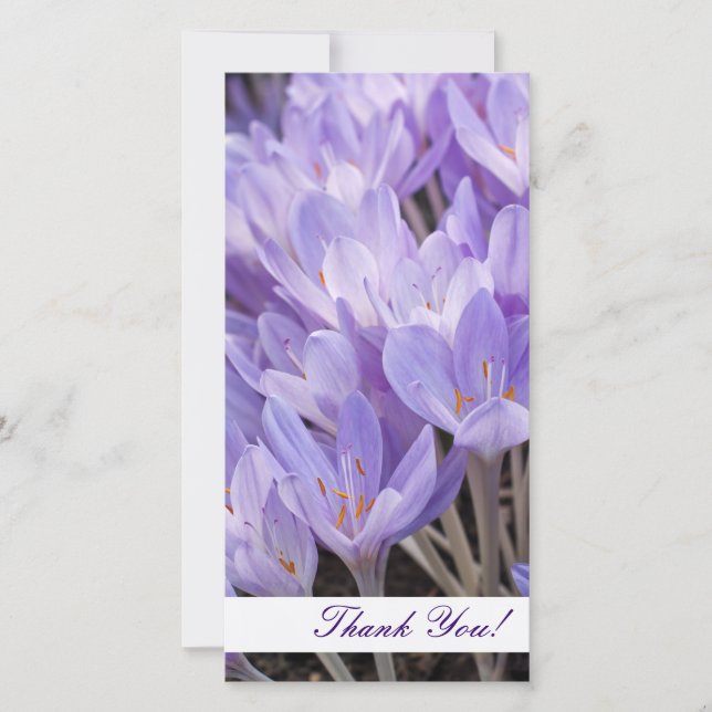 Obrigado Cartão com fotos (Frente)