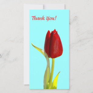 Obrigado Cartão com fotos