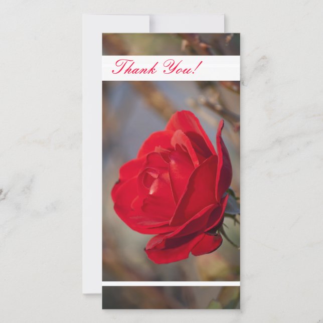 Obrigado Cartão com fotos (Frente)