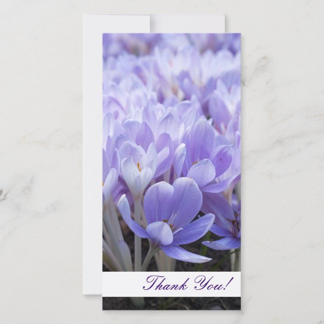 Obrigado Cartão com fotos (Frente)