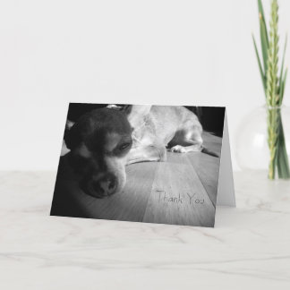 Obrigado cartão da chihuahua