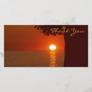 Obrigado cartões de fotos