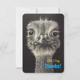 Obrigado cartões lisos