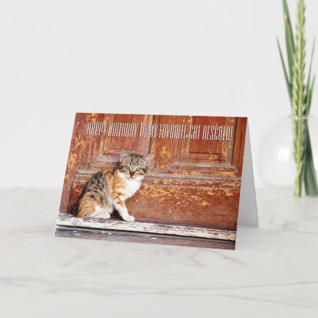 Obrigado Cat Rescuting Cartão de Saudação (Frente)