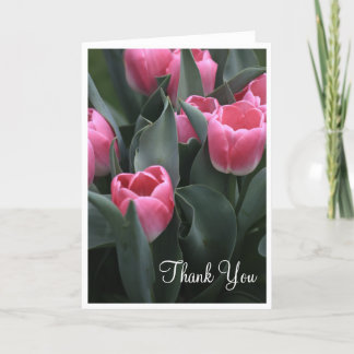 Obrigado cor-de-rosa da tulipa você cartões