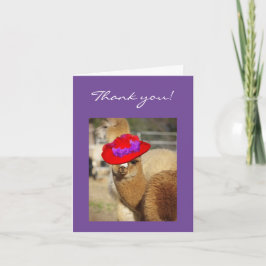 Obrigado da alpaca você cartões