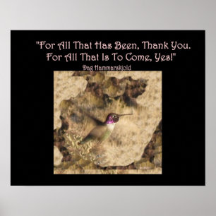 Obrigado do poster do colibri… você e sim!