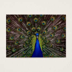 Obrigado Etiqueta de presentes