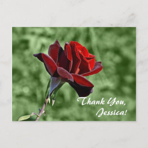 Obrigado, Jessica! Cartão Postal