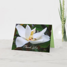 Obrigado Magnolia e Cartão das Abelhas de Mel