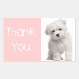 Obrigado Maltês Puppy Dog Pink Sticker / Etiqueta