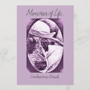 OBRIGADO PARA O CARTÃO DE INQUIETAÇÃO - PERDA DE