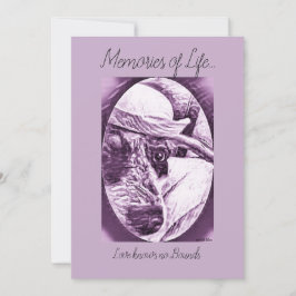 OBRIGADO PARA O CARTÃO DE INQUIETAÇÃO - PERDA DE